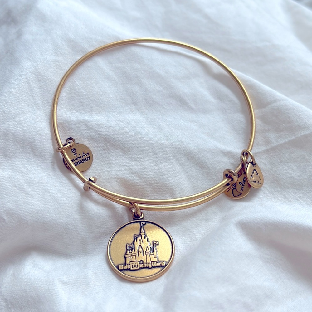 Alex and Ani charm bracelet